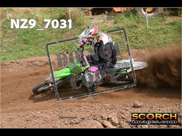Experts-427