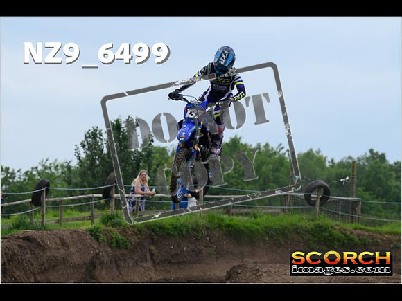 Experts-307