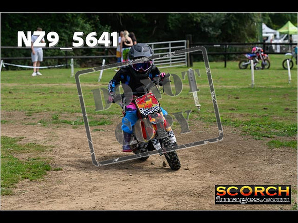PeeWee Track-022