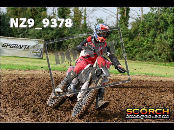 Experts-046