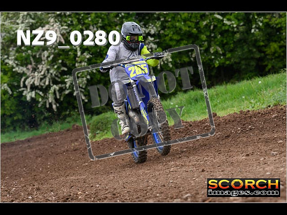 IntersGreen-229