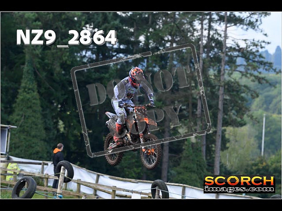 Experts-081