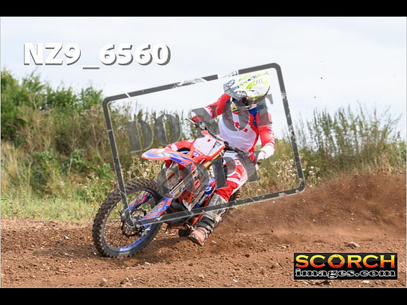 Experts-269