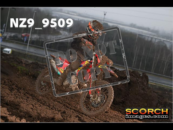 Experts-133