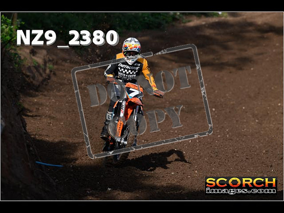 Experts-037