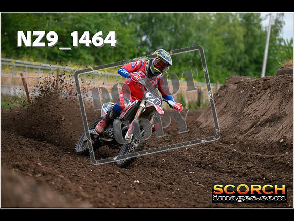 Experts-014