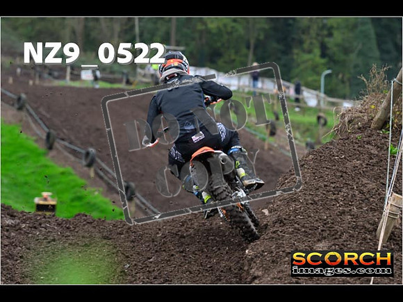 Experts-077