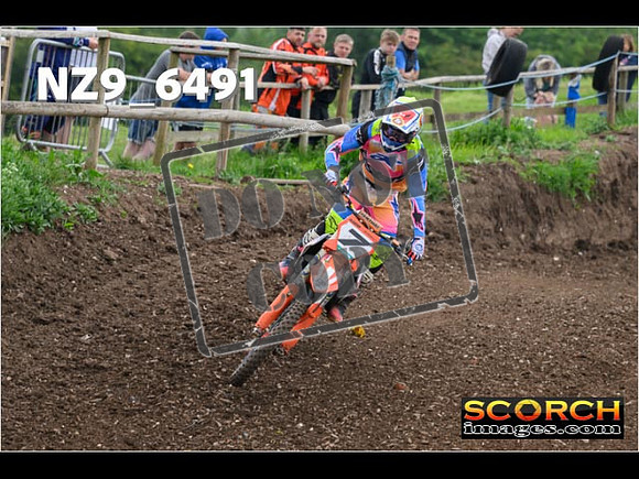 Experts-299