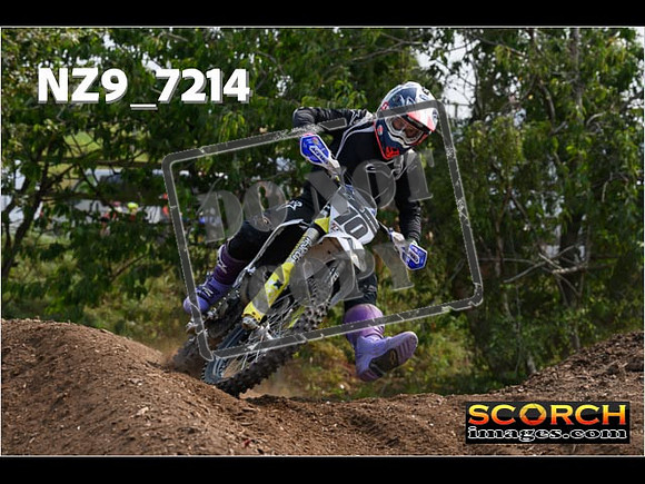 Inters Green-209