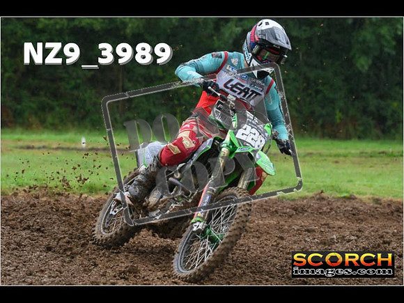 Experts-065