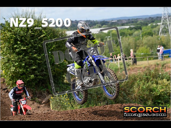 Inters Green-075
