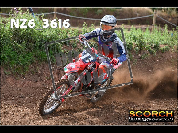 Experts-043