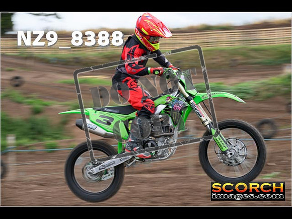 IntersGreen-038