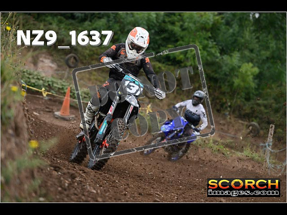 IntersGreenOrange-043
