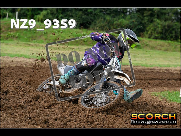 Experts-028