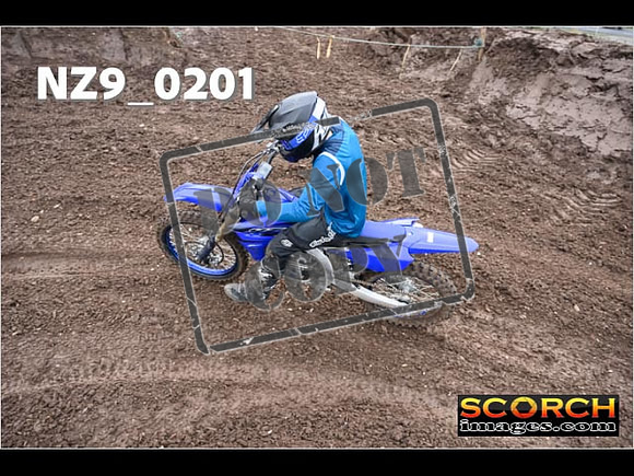 IntersBlue-289