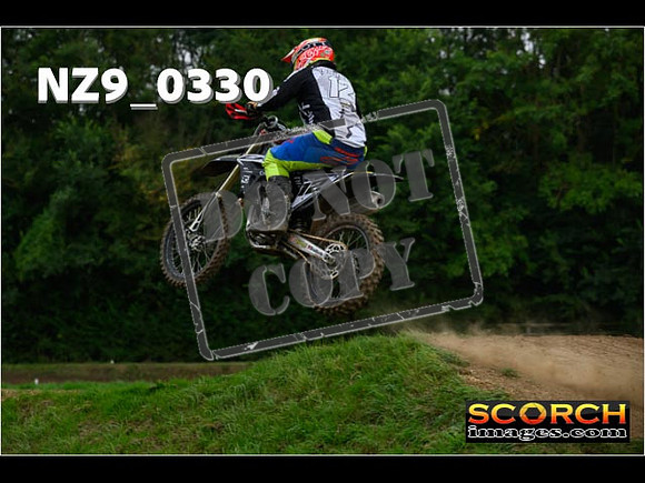 Novice-299