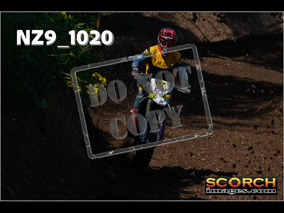 Experts-098