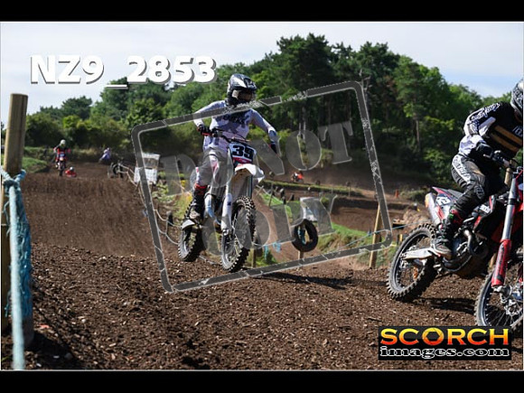 Experts-150