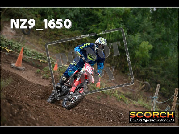 IntersGreenOrange-056