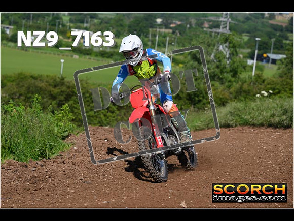 Experts-133