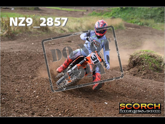 Experts-075