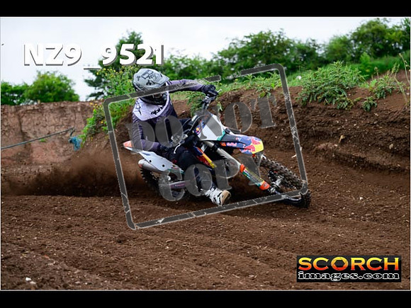 Experts-120