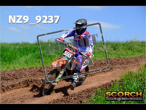 IntersGreenOrange-418
