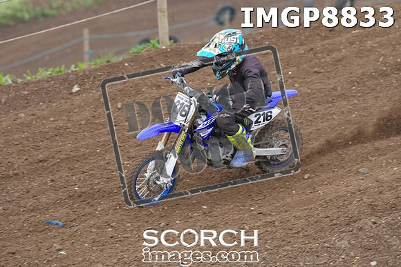IMGP8833