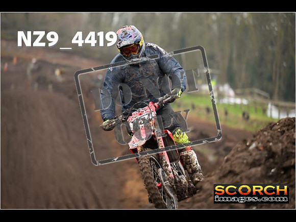 Experts-261