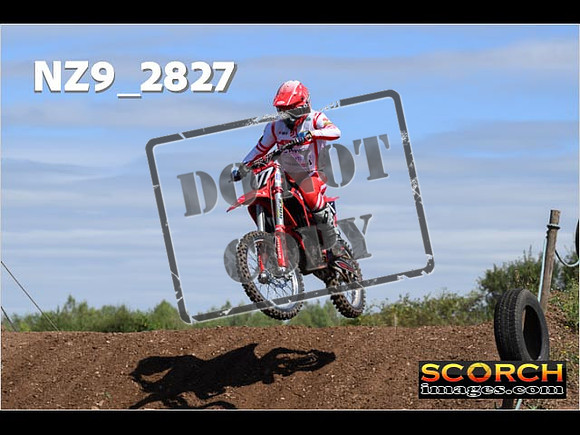 Experts-126