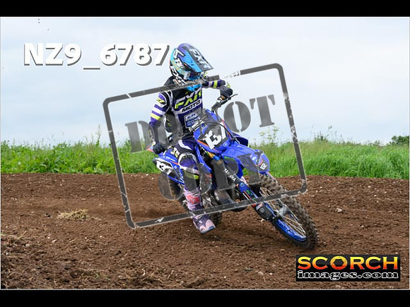 Experts-388