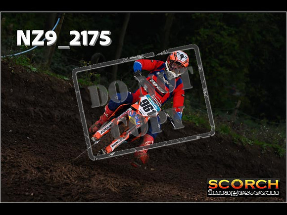 Experts-179
