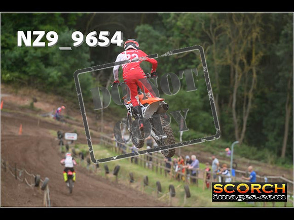 Experts-054