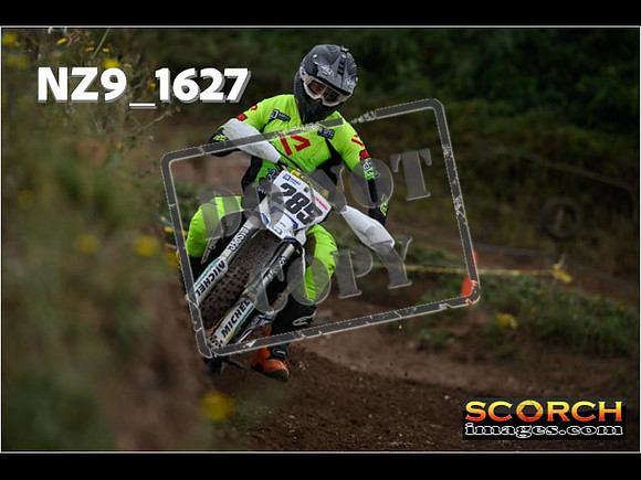 IntersGreenOrange-033