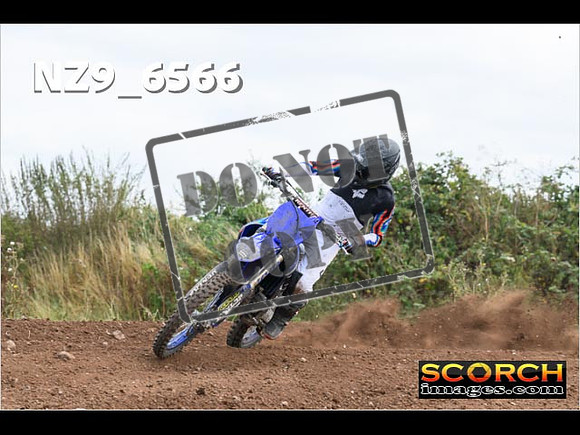 Experts-275