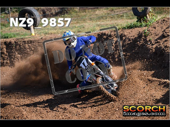 Experts-067