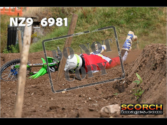 Experts-378
