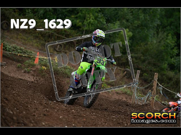 IntersGreenOrange-035