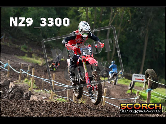 Inters-239