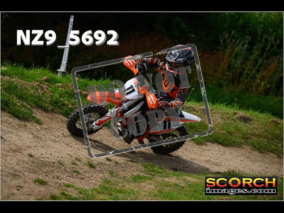 PeeWee Track-073