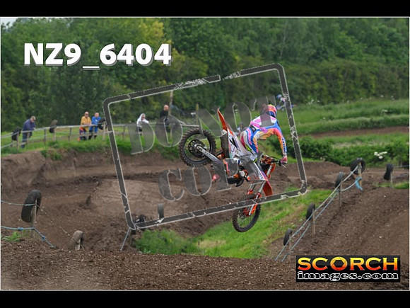 Experts-216