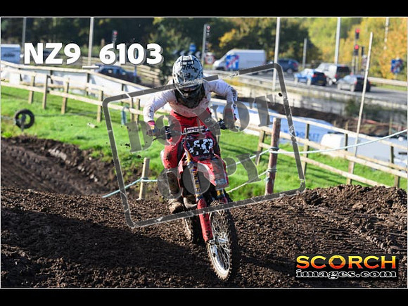 Experts-139