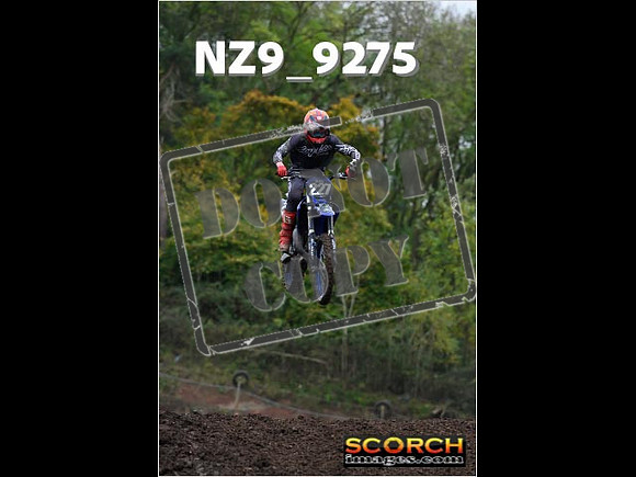 Experts-077