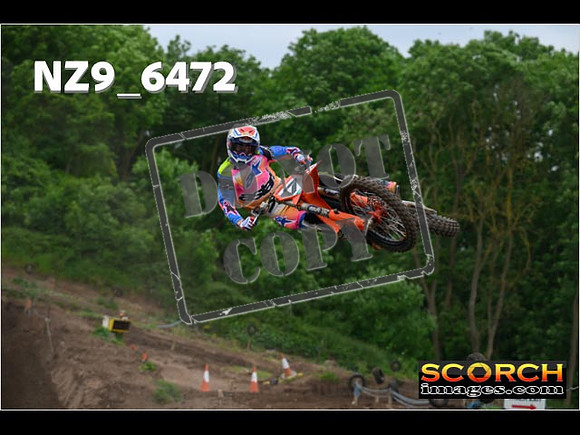 Experts-281