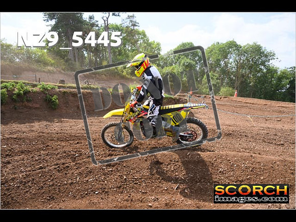 InterGreenOrange-296