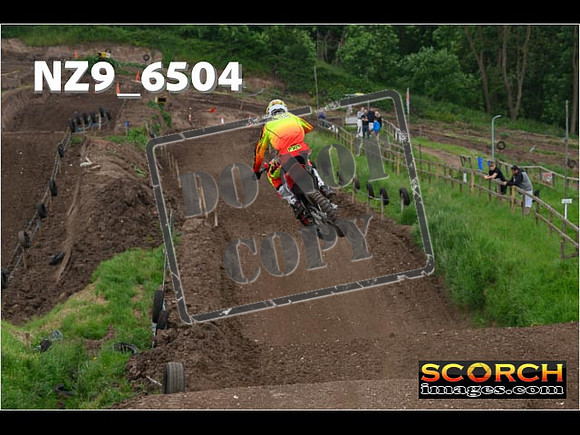 Experts-312