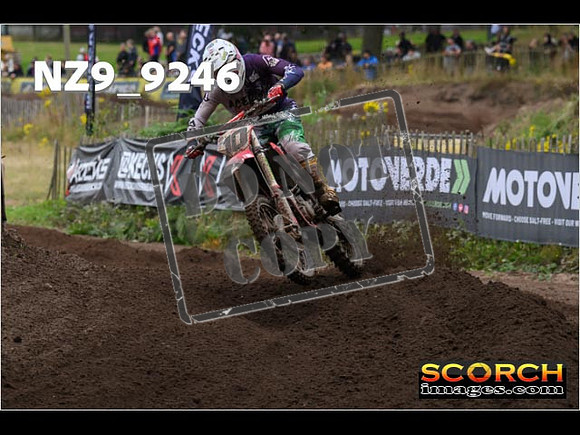 MX1-198