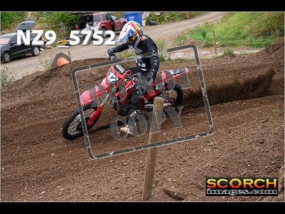 Experts-222