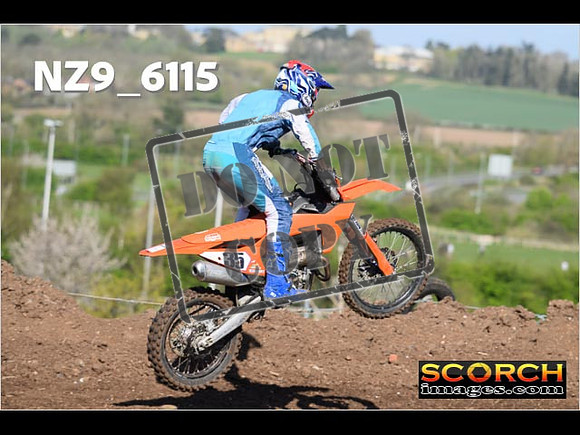 Experts-035